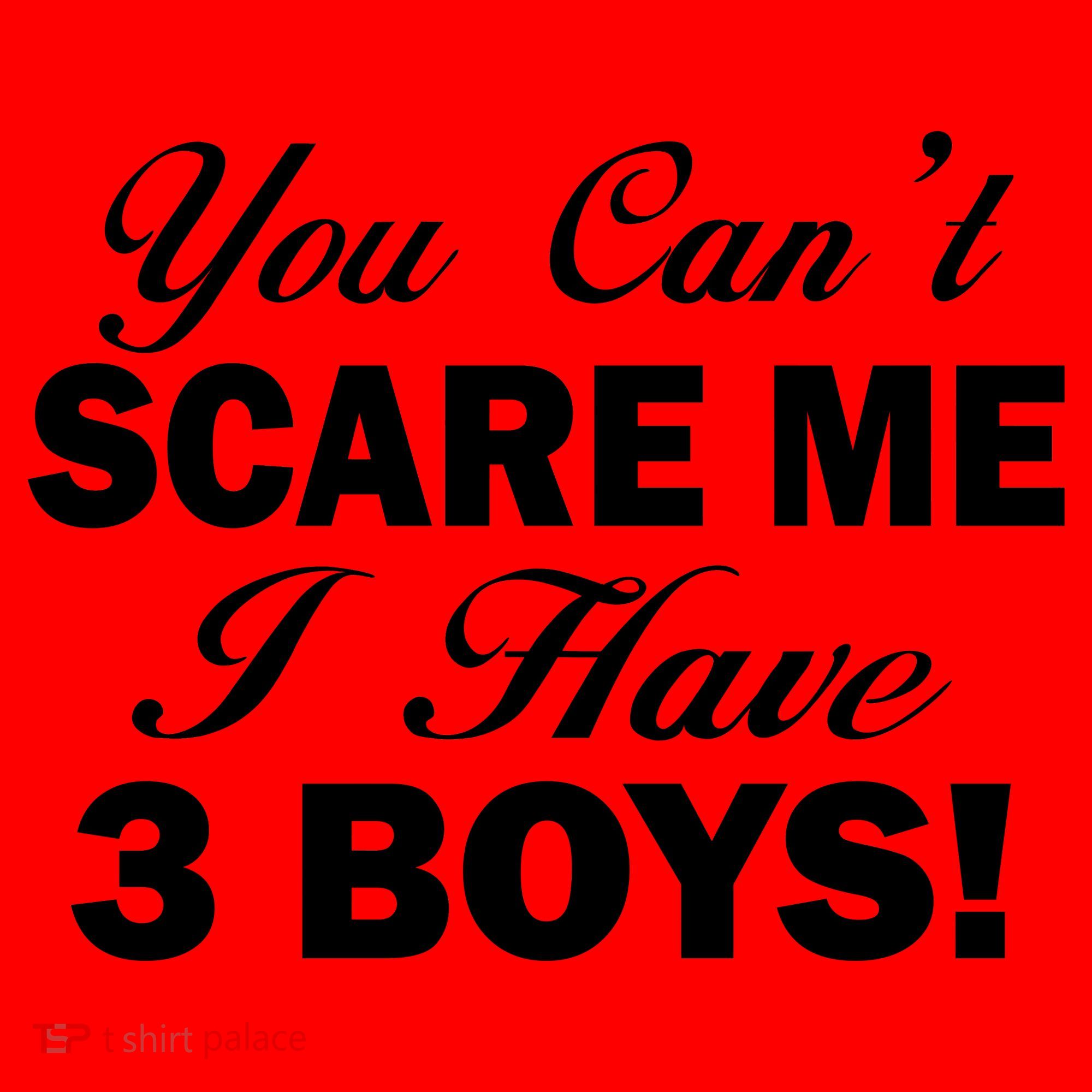 You Can't Scare Me I Have 3 Boys Santa Hat