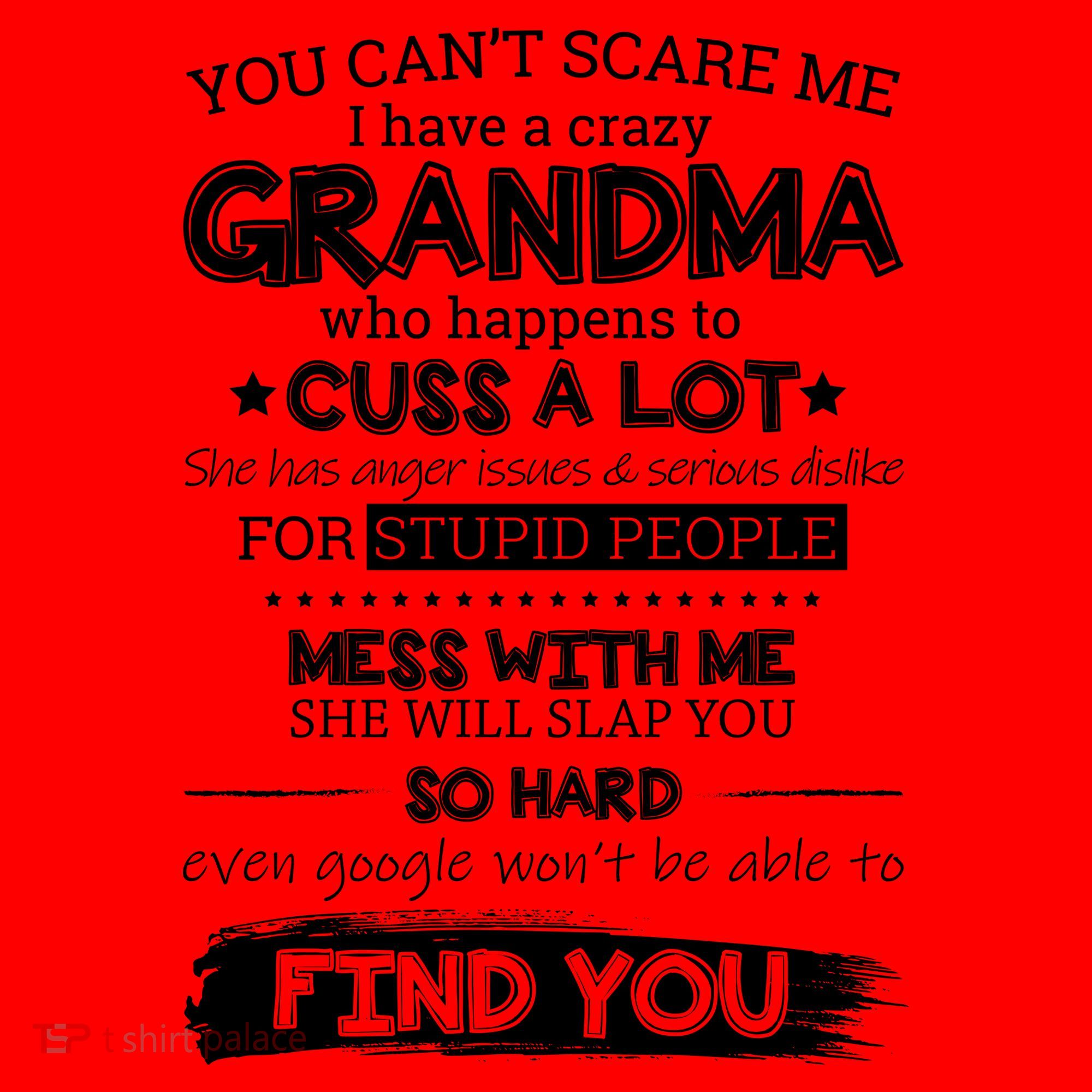 You Can't Scare Me I Have a Crazy Grandma Santa Hat