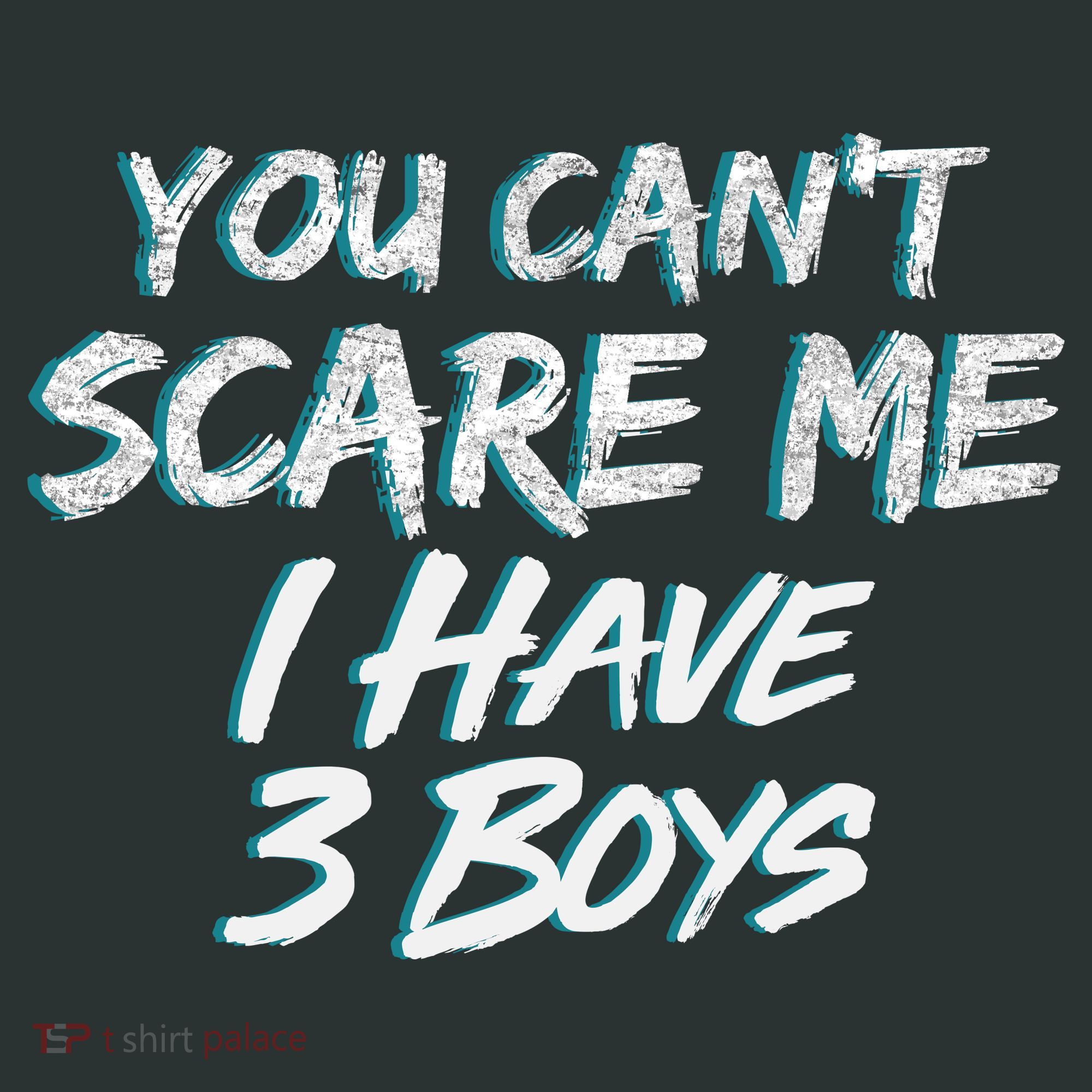 You Can't Scare Me I Have Three Boys Hoodie