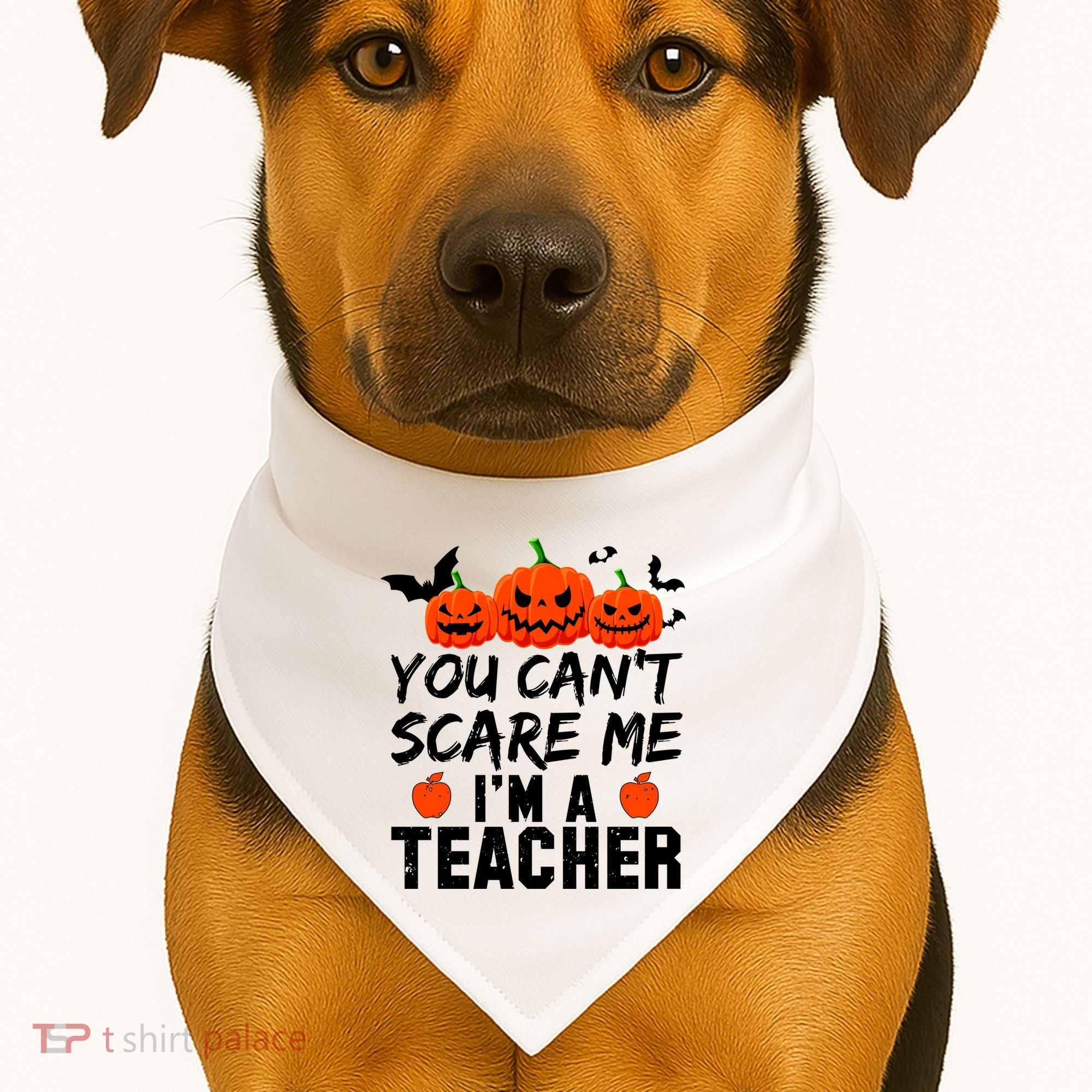You Can't Scare Me I'm A Teacher USA-Made Doggie Bandana