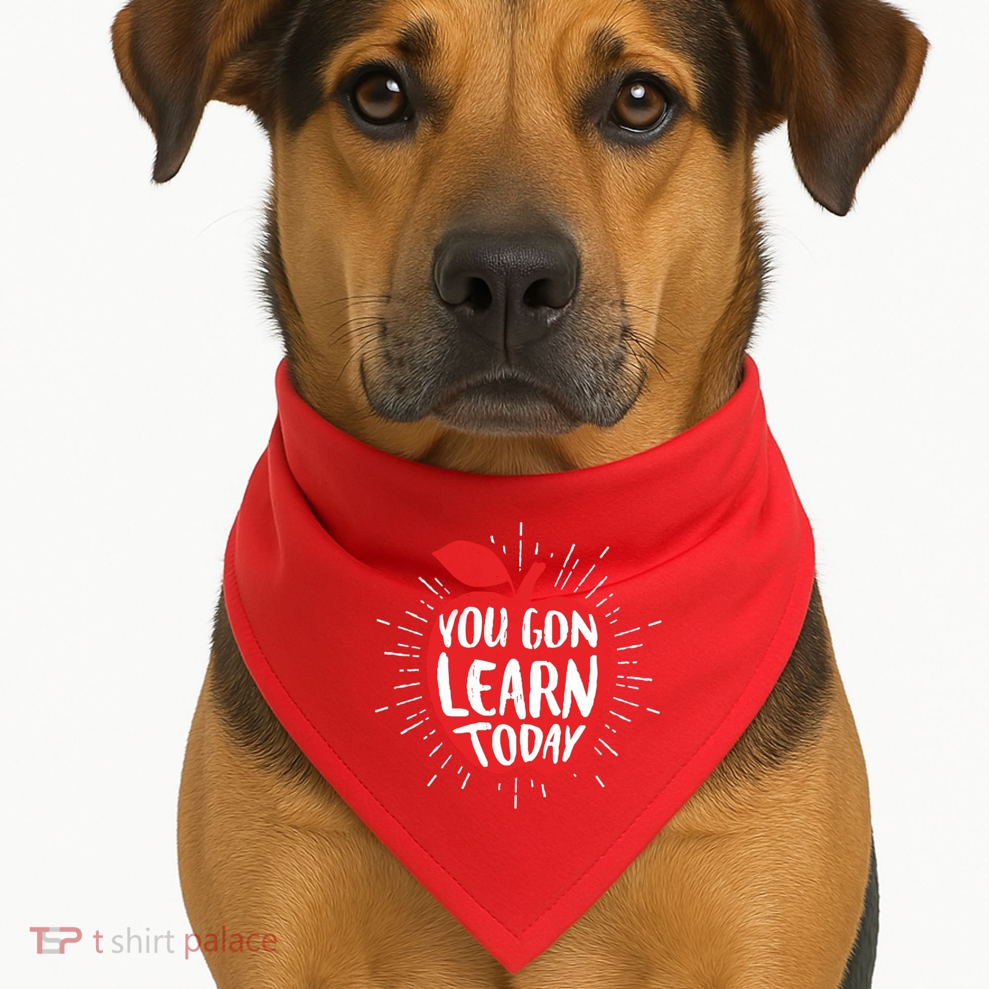 You Gon Learn Today USA-Made Doggie Bandana