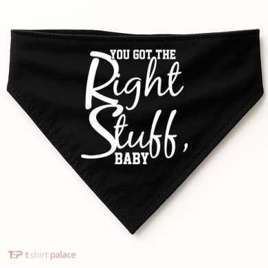 You Got The Right Stuff Baby USA-Made Doggie Bandana