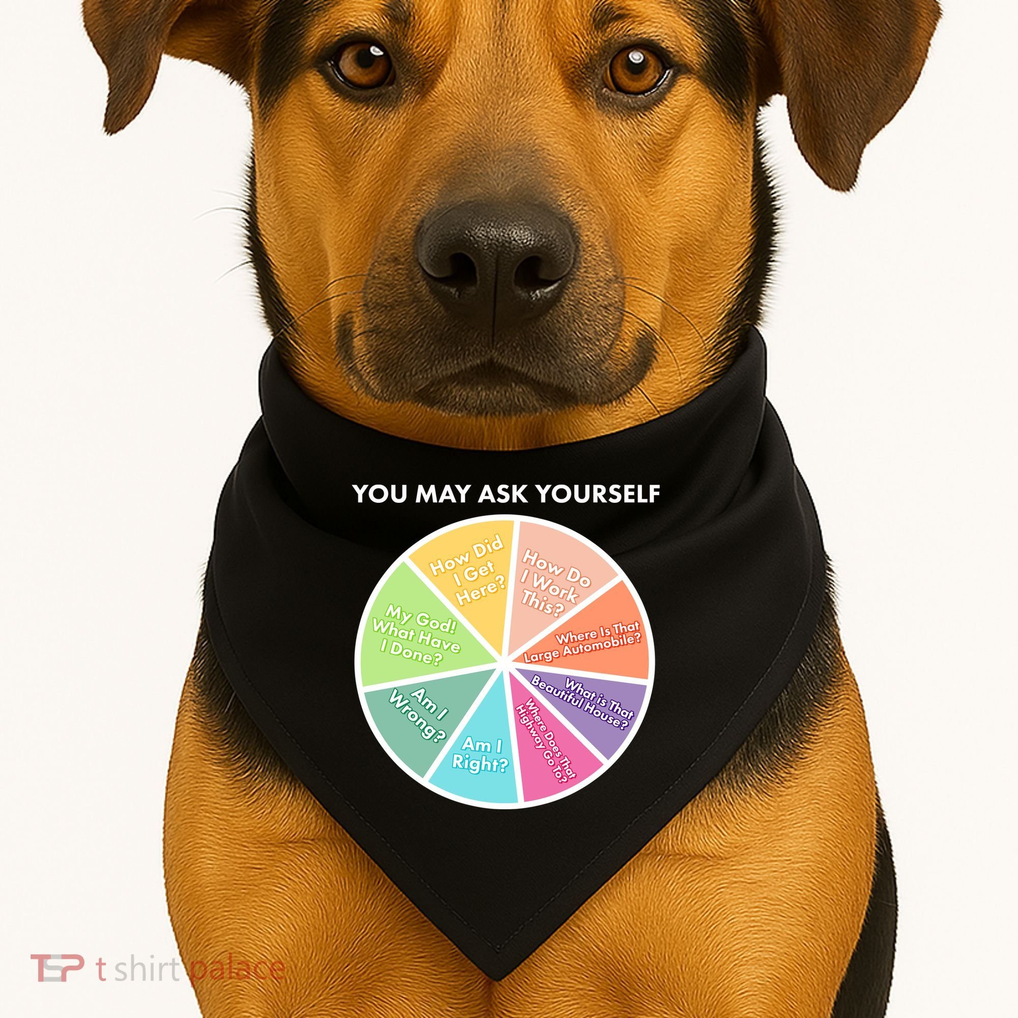 You May Ask Yourself Pie Chart USA-Made Doggie Bandana