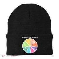 You May Ask Yourself Pie Chart Beanie thumb 0