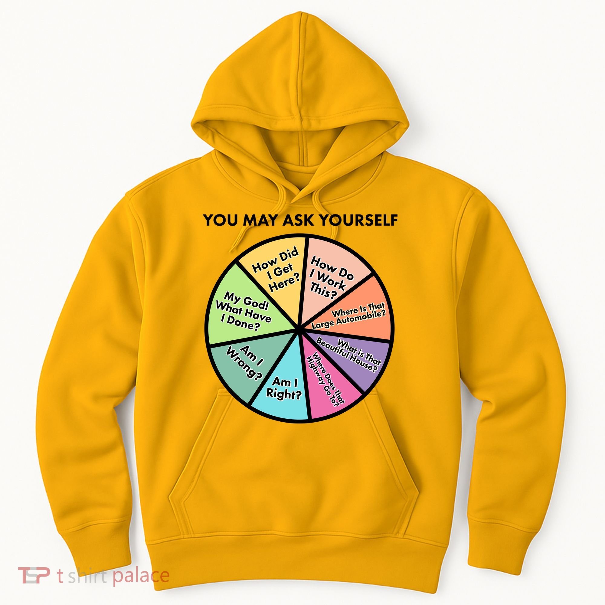 You May Ask Yourself Pie Chart Hoodie