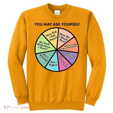 You May Ask Yourself Pie Chart Sweatshirt
