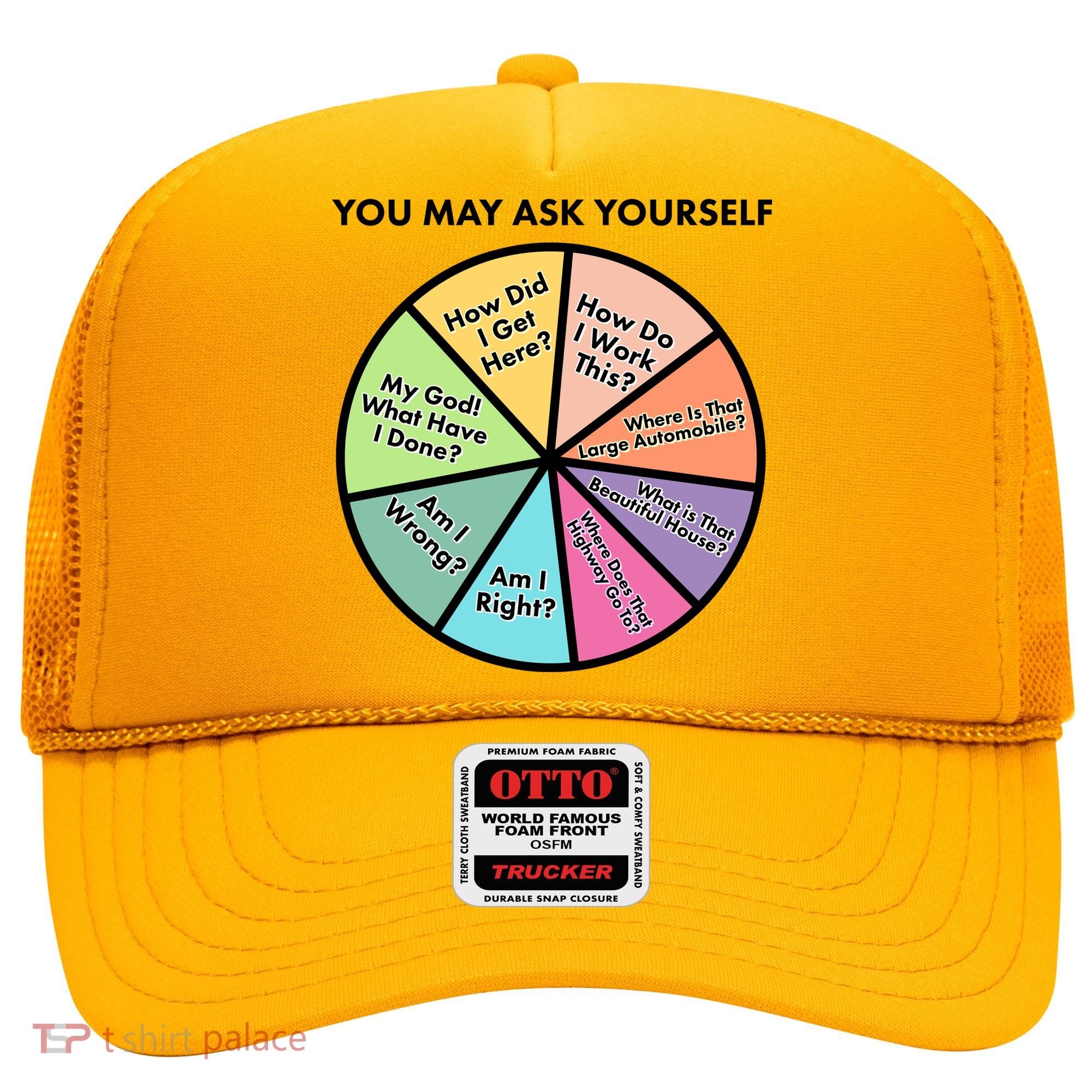 You May Ask Yourself Pie Chart Hat