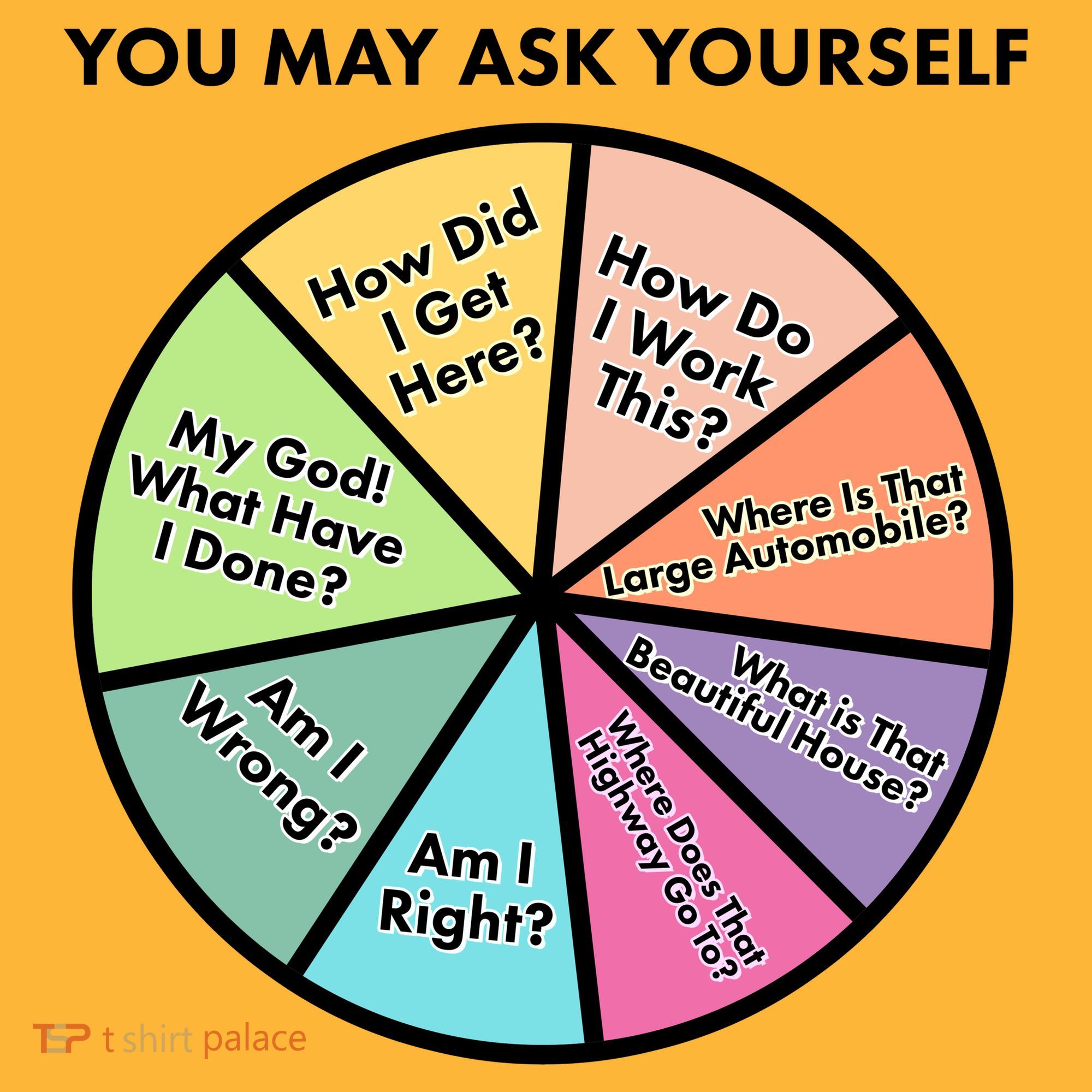 You May Ask Yourself Pie Chart Kids Long Sleeve Shirt