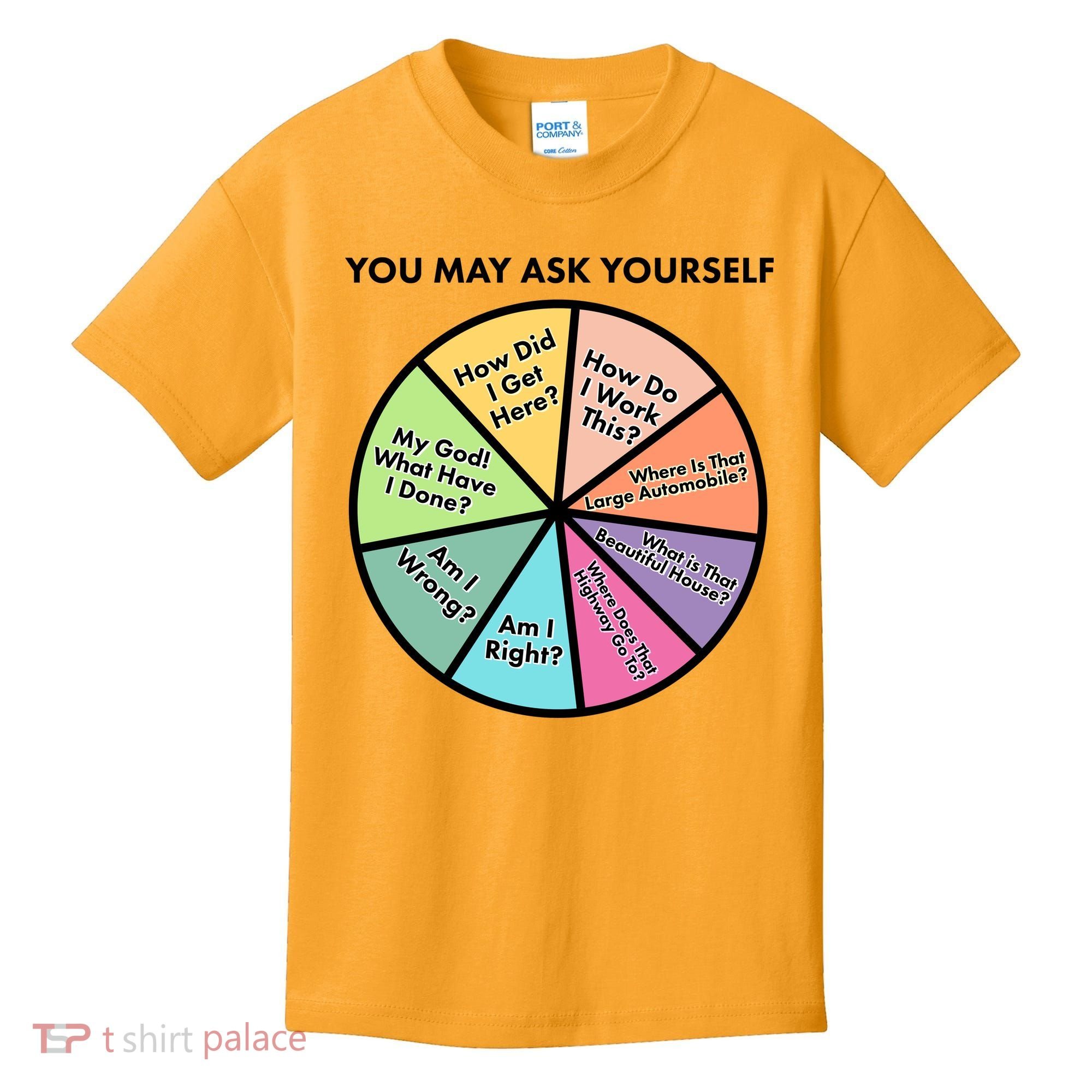 You May Ask Yourself Pie Chart Kids T-Shirt