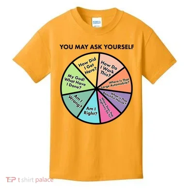 You May Ask Yourself Pie Chart Kids T-Shirt