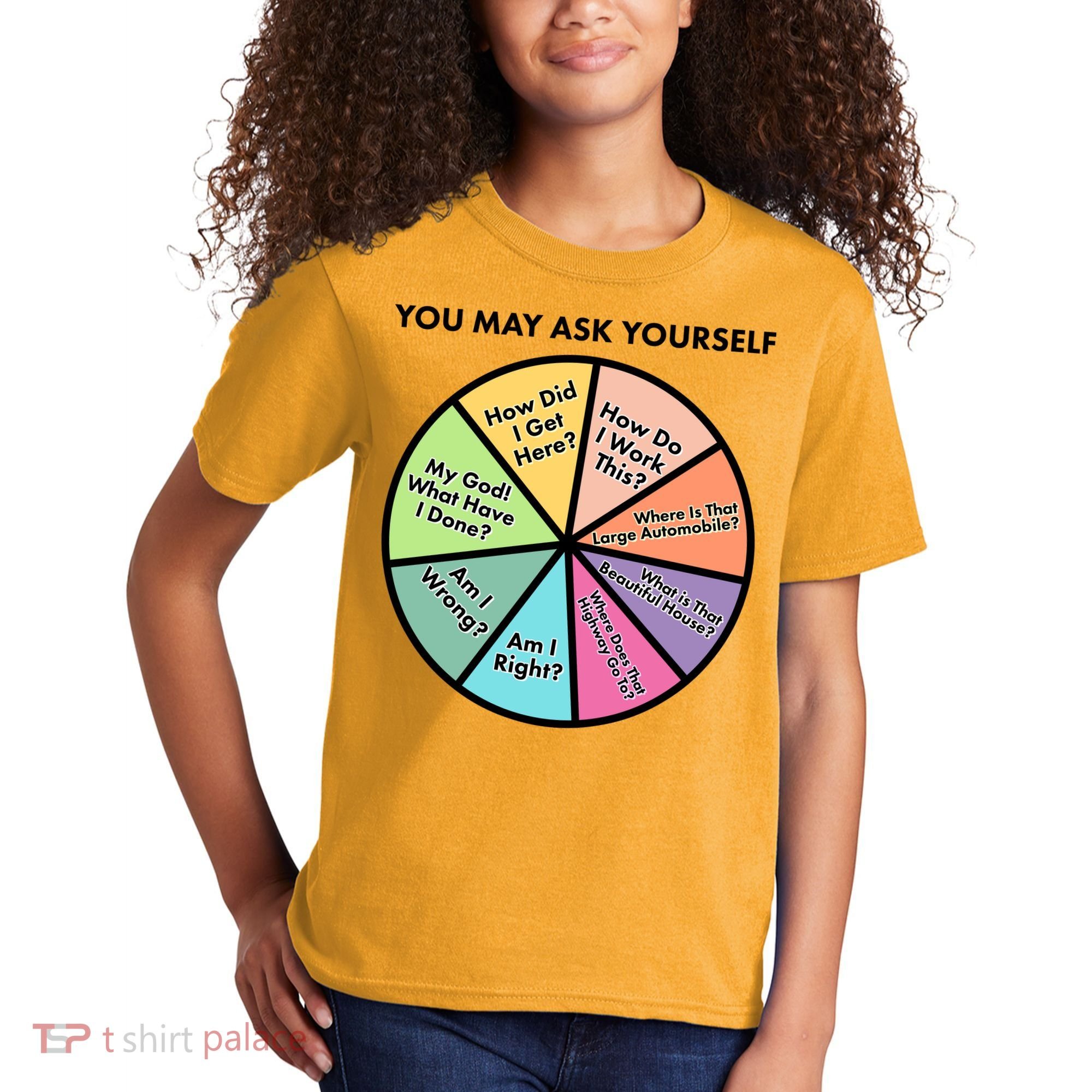 You May Ask Yourself Pie Chart Kids T-Shirt