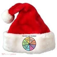 You May Ask Yourself Pie Chart Santa Hat thumb 0