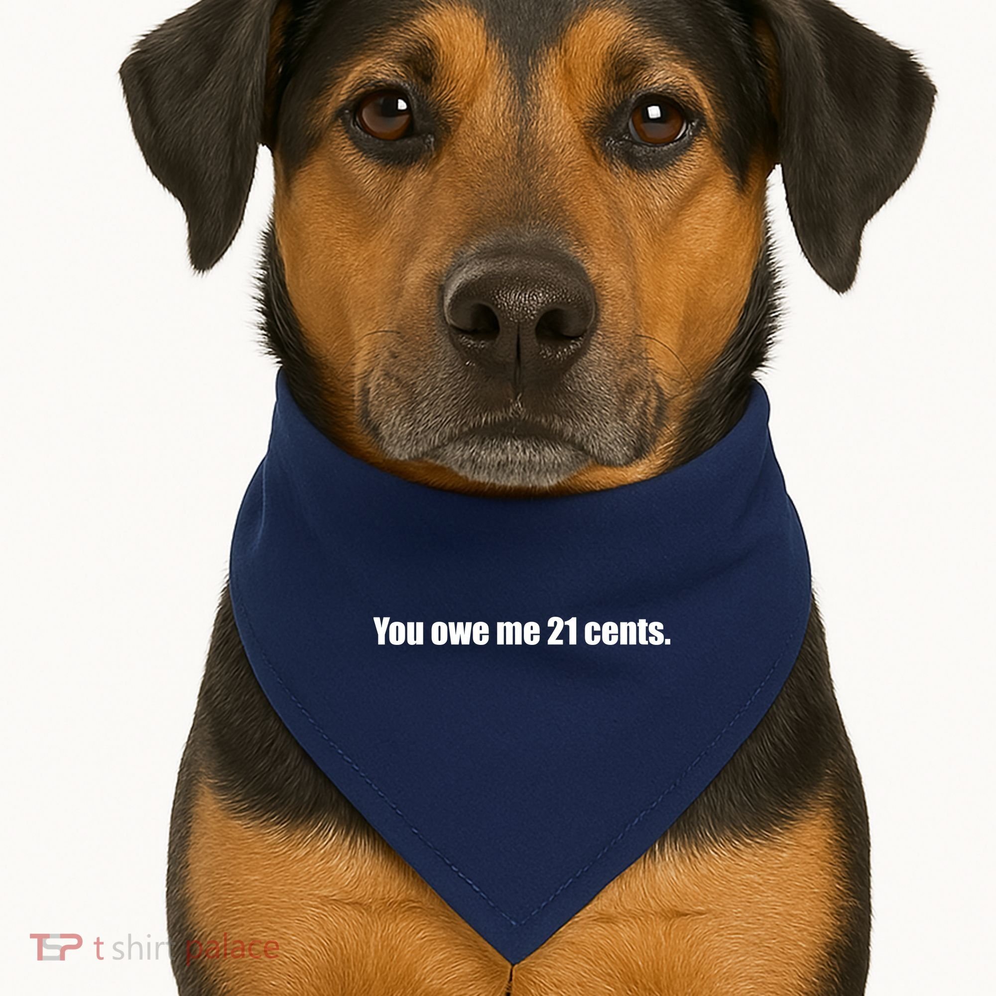 You Owe Me 21 Cents Bold Text - Feminist USA-Made Doggie Bandana