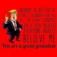 Your A Great Grandma Donald Trump Santa Hat thumb 1
