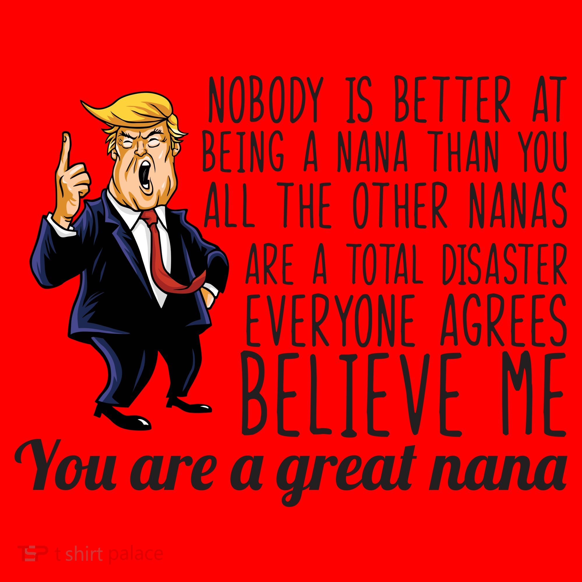 Your A Great Nana Donald Trump Santa Hat