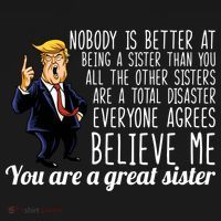 Your A Great Sister Donald Trump Ornament thumb 1