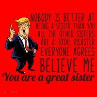 Your A Great Sister Donald Trump Santa Hat thumb 1