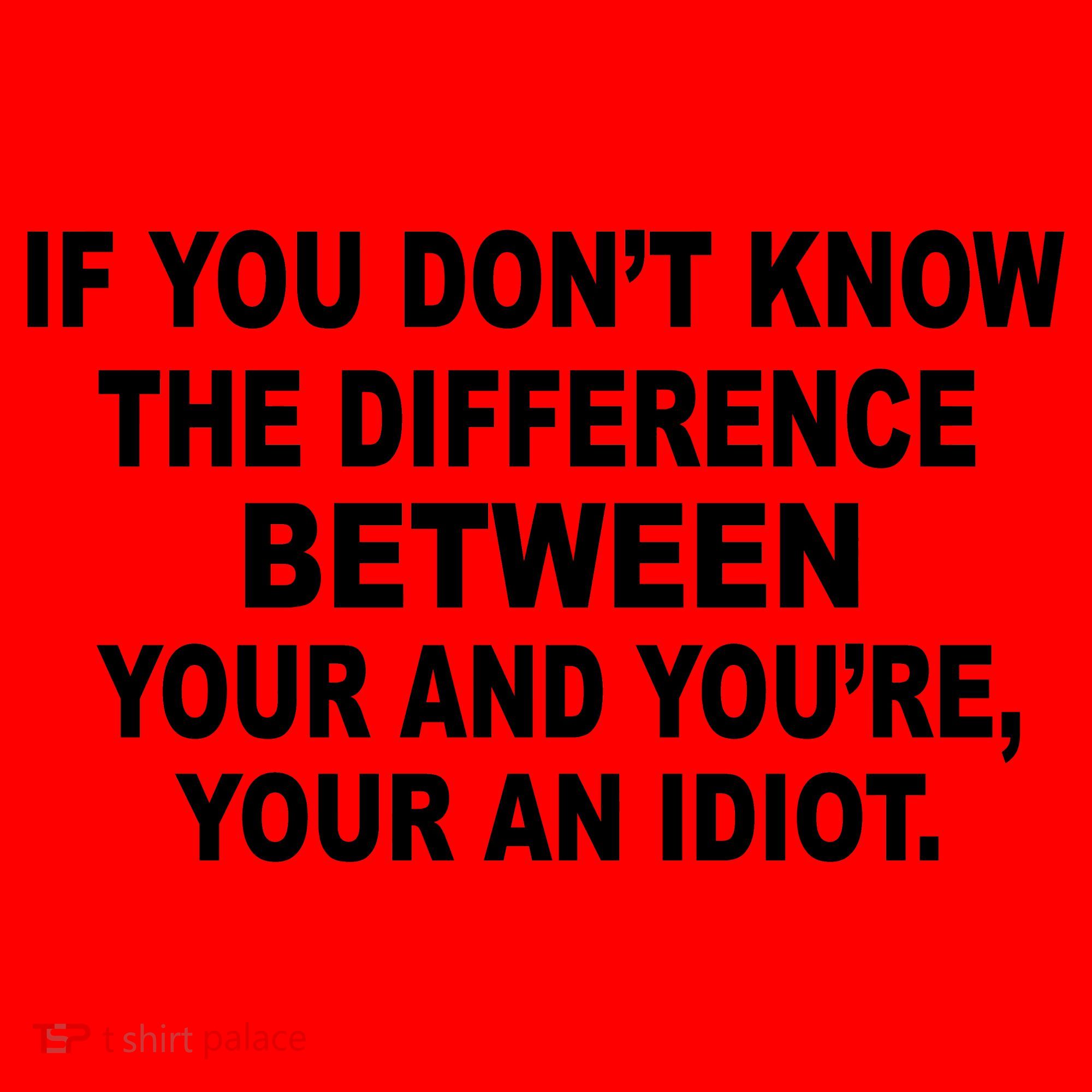 Your and You're Your an Idiot Santa Hat