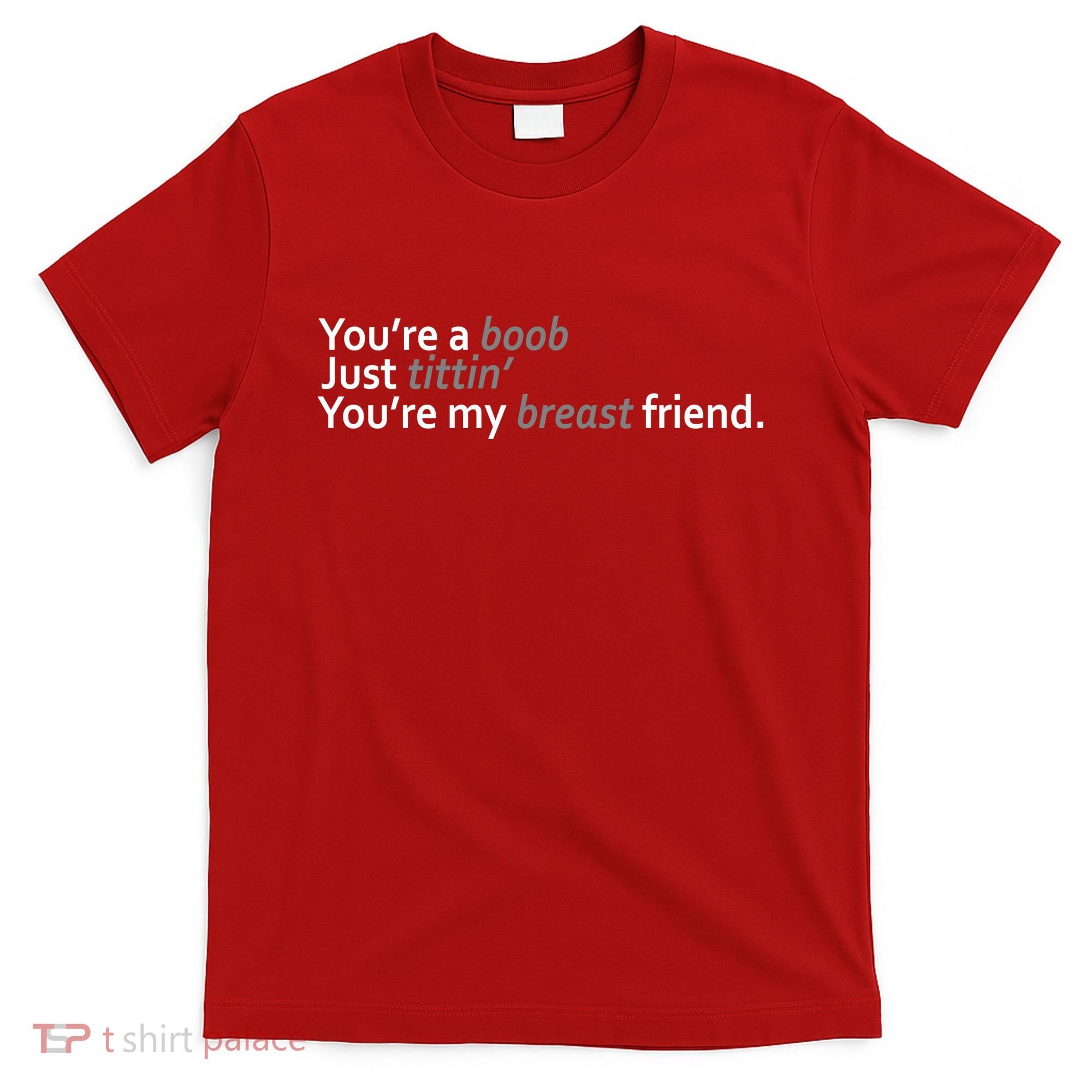 You're A Boob Just Tittin You're My Breast Friend T-Shirt