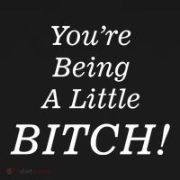 You're Being A Little Bitch Ornament thumb 1