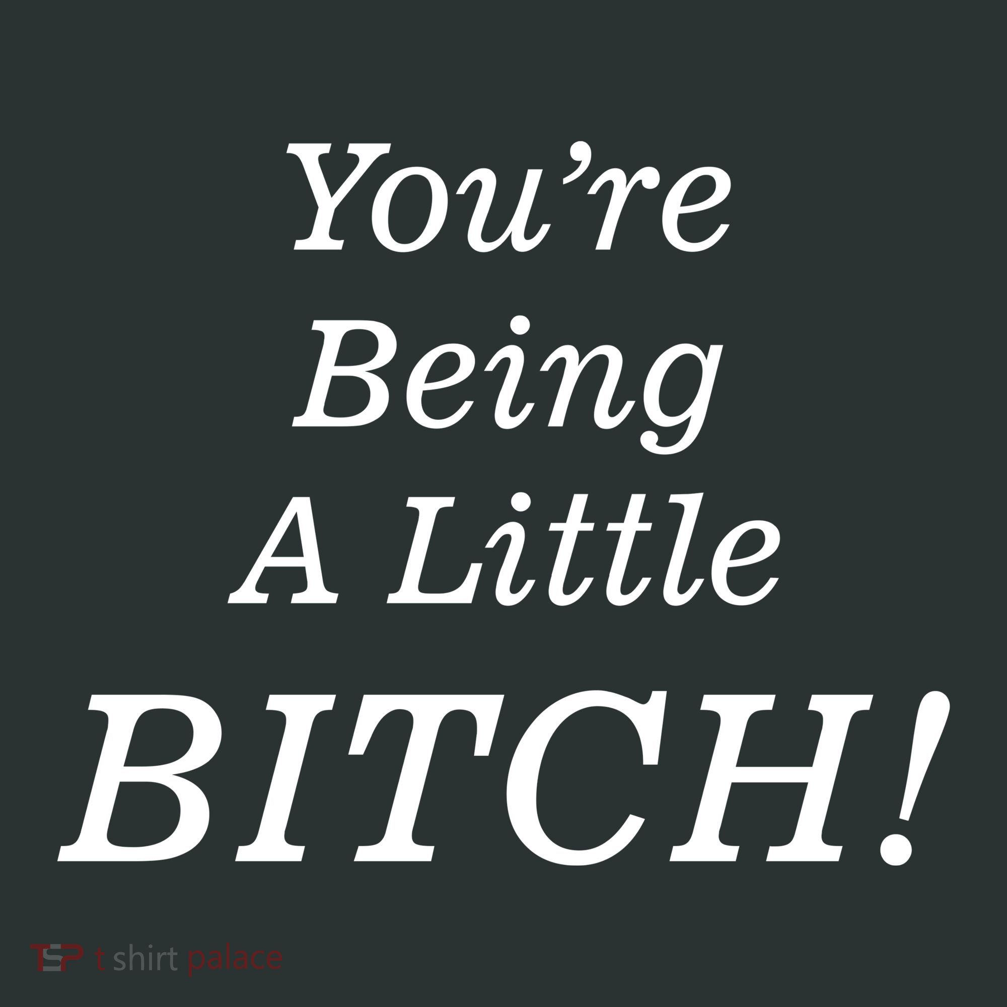 You're Being A Little Bitch Hoodie