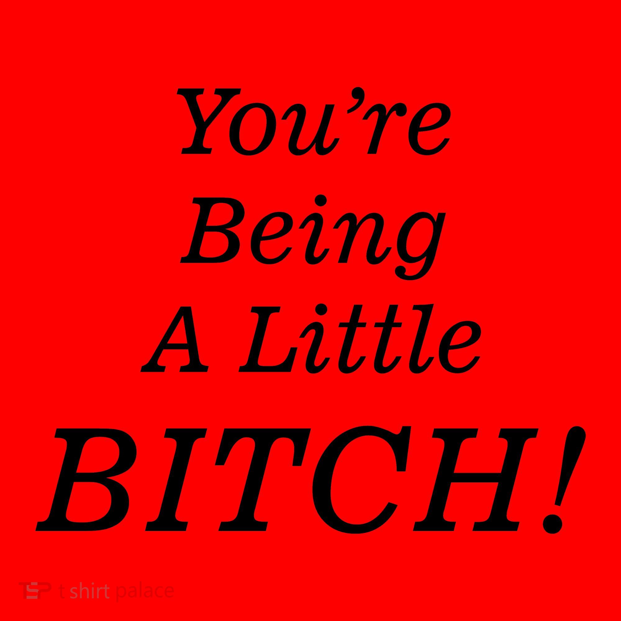 You're Being A Little Bitch Santa Hat