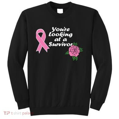 You're Looking At A Survivor Breast Cancer Sweatshirt