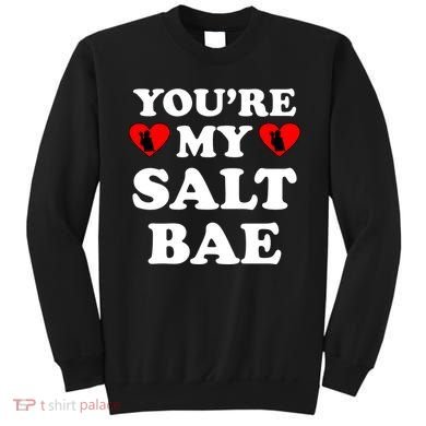 You're My Salt Bae Funny Trending Meme Sweatshirt