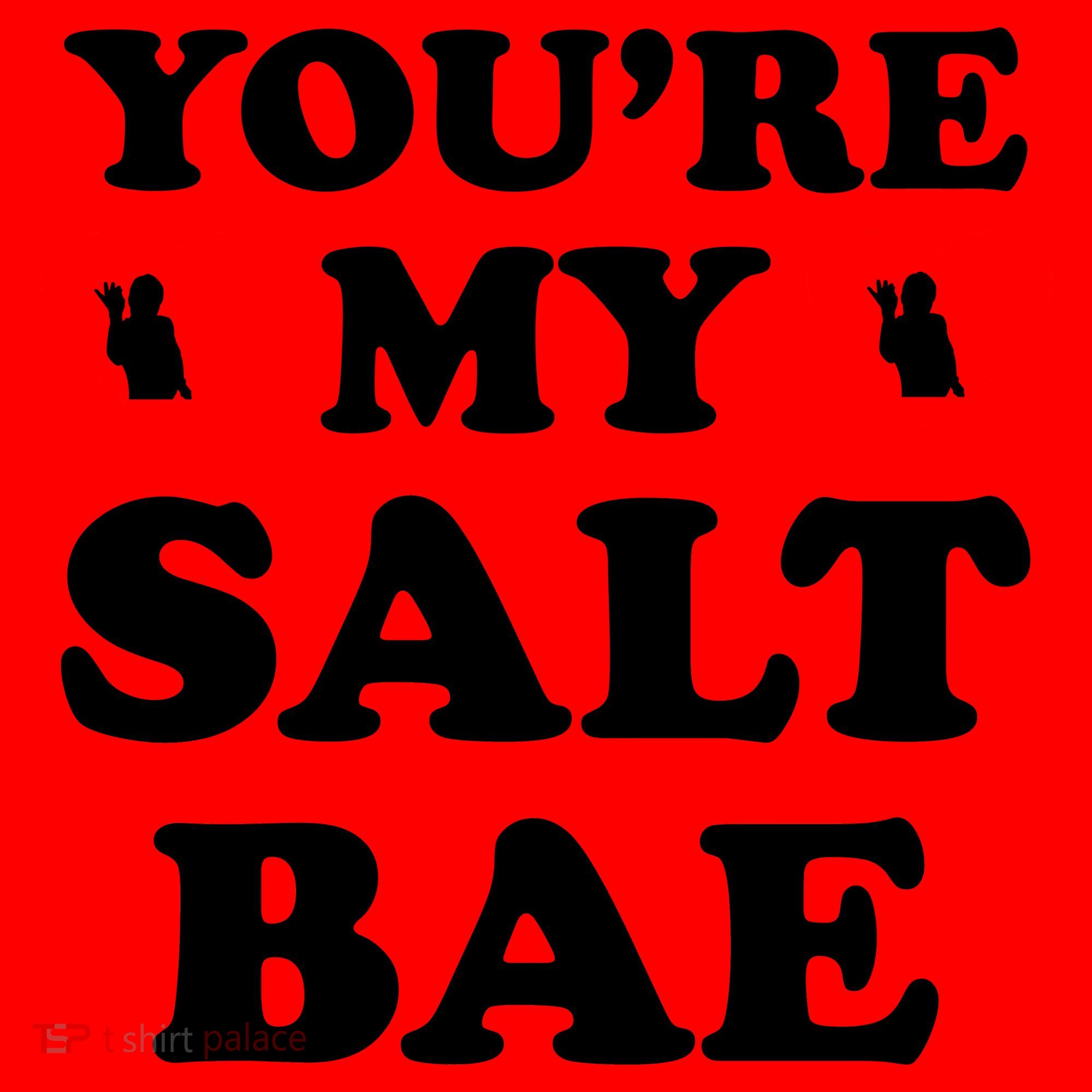 You're My Salt Bae Funny Trending Meme Santa Hat