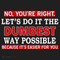 You're Right Let's Do The Dumbest Way Possible Humor Beanie thumb 2