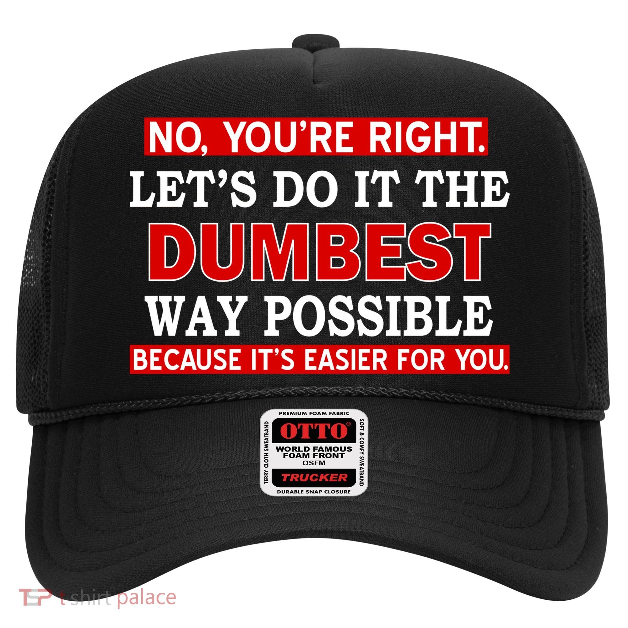 You're Right Let's Do The Dumbest Way Possible Humor Hat