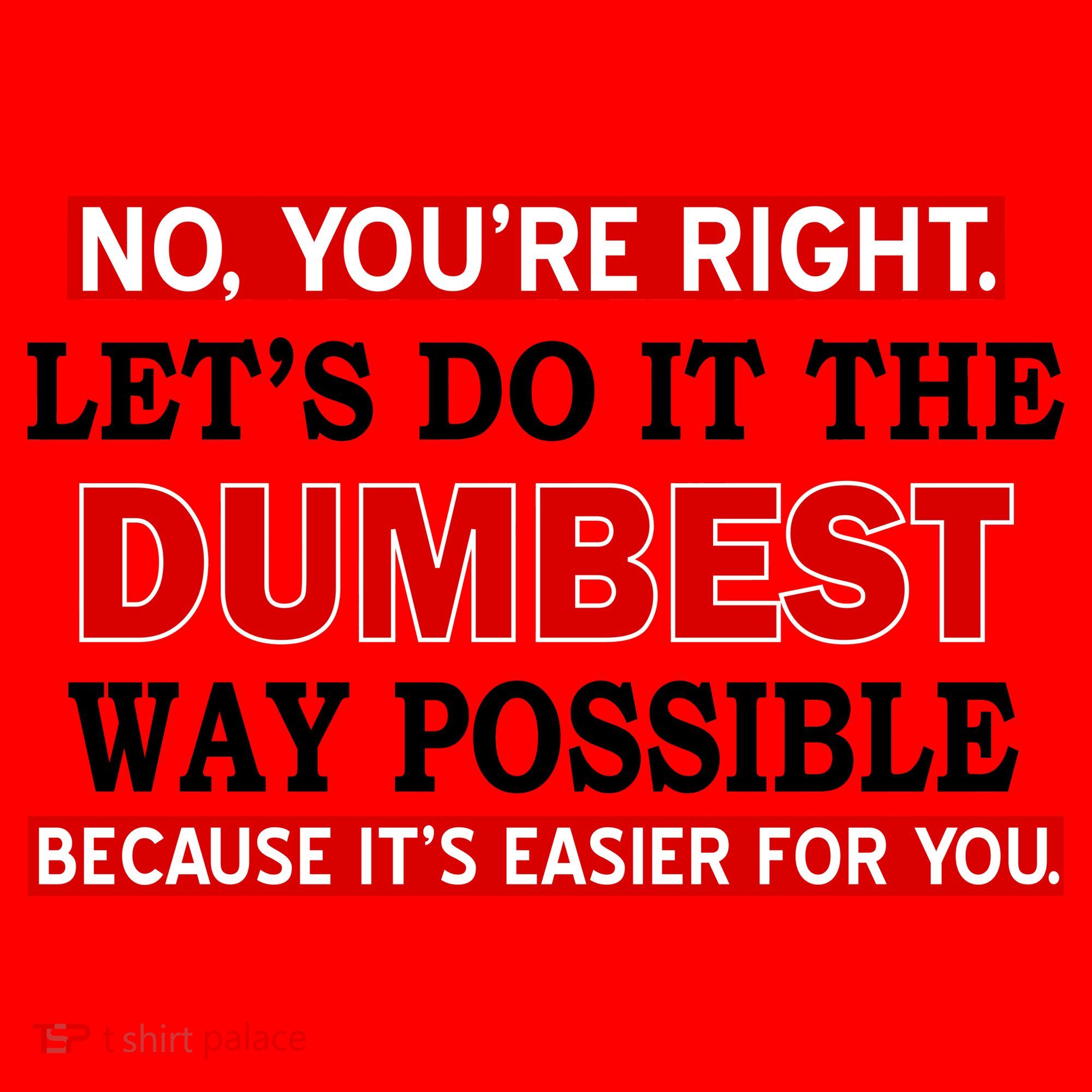 You're Right Let's Do The Dumbest Way Possible Humor Santa Hat