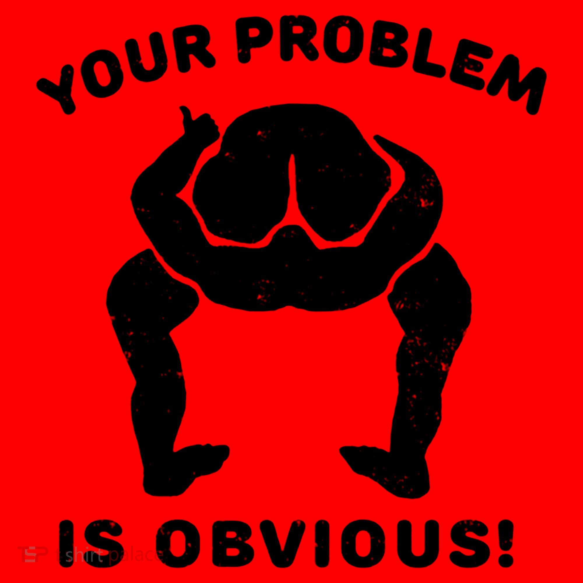 Your Problem Is Obvious Santa Hat