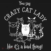 You Say Crazy Cat Lady Like ItS A Bad Thing Meaningful Gift Women's Hoodie thumb 2