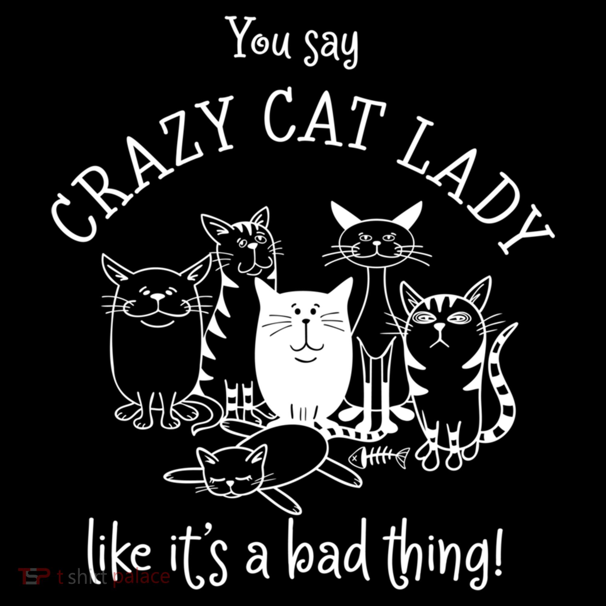 You Say Crazy Cat Lady Like ItS A Bad Thing Meaningful Gift Women's Hoodie