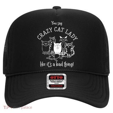You Say Crazy Cat Lady Like ItS A Bad Thing Meaningful Gift Hat