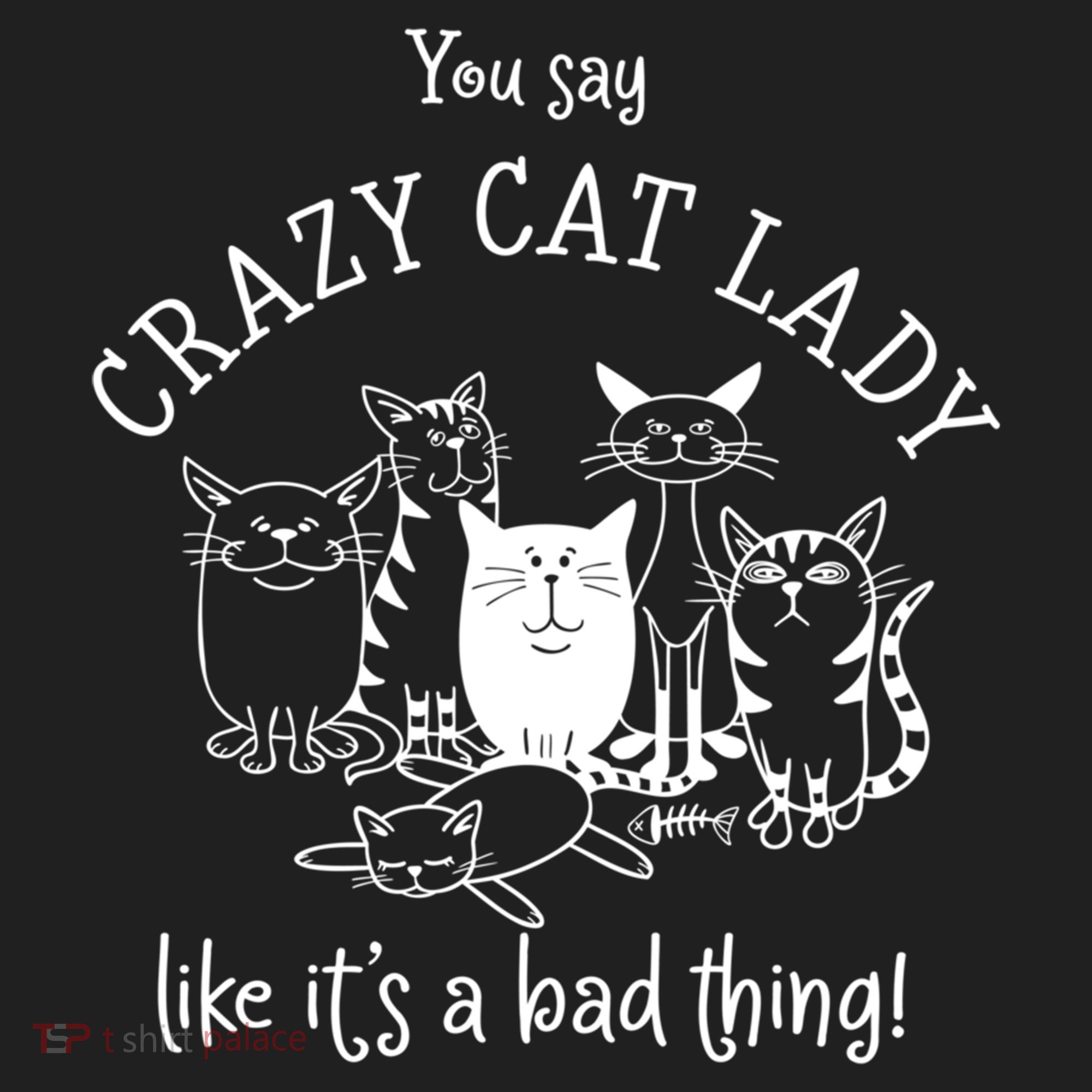 You Say Crazy Cat Lady Like ItS A Bad Thing Meaningful Gift Hat