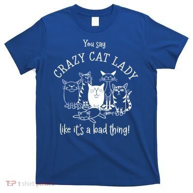 You Say Crazy Cat Lady Like ItS A Bad Thing Meaningful Gift T-Shirt