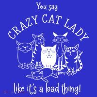 You Say Crazy Cat Lady Like ItS A Bad Thing Meaningful Gift Visor thumb 3