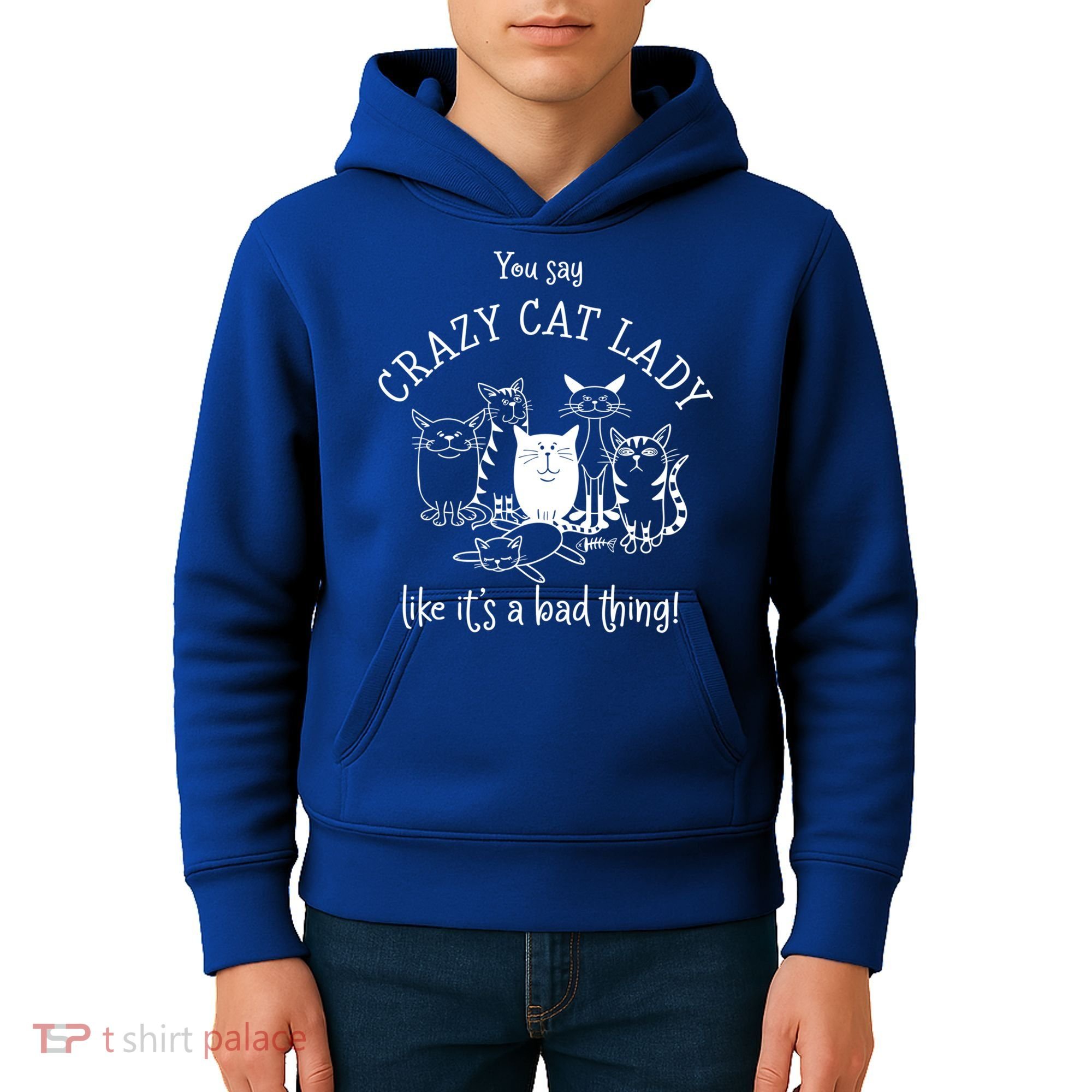 You Say Crazy Cat Lady Like ItS A Bad Thing Meaningful Gift Kids Hoodie
