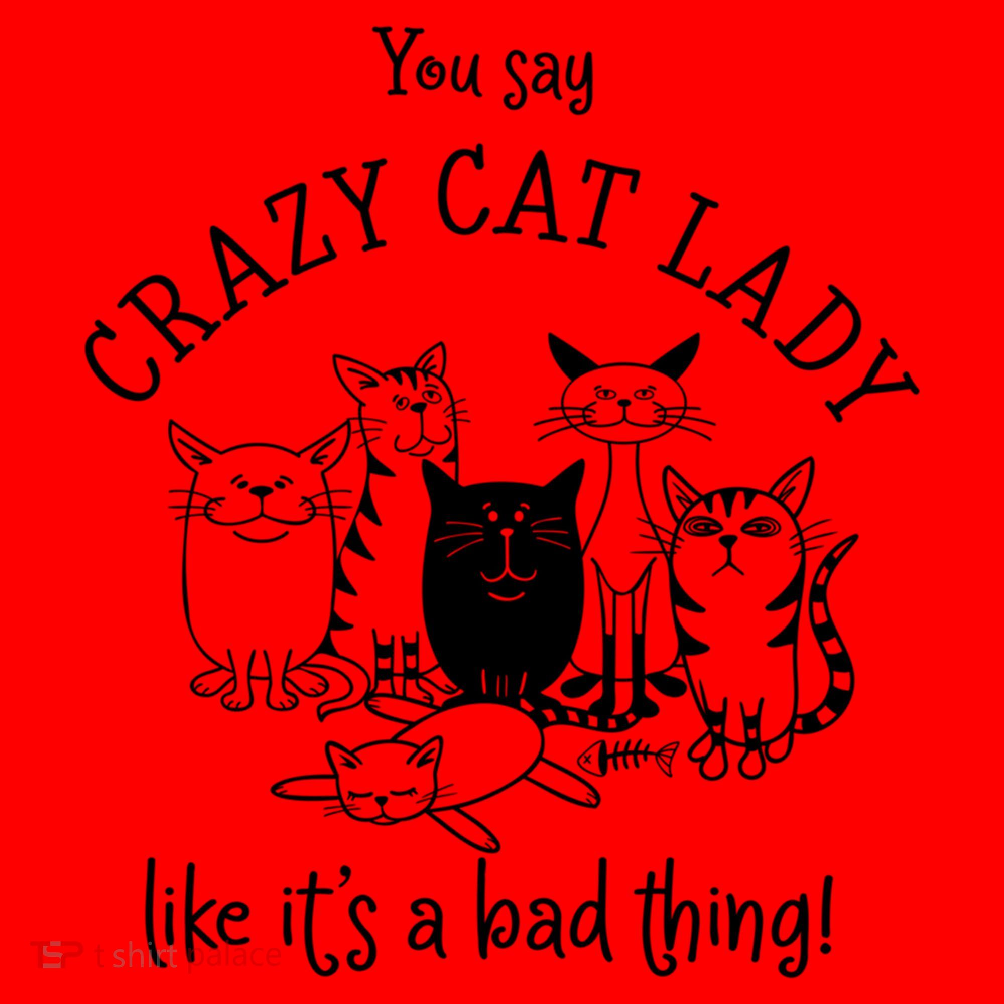 You Say Crazy Cat Lady Like ItS A Bad Thing Meaningful Gift Santa Hat