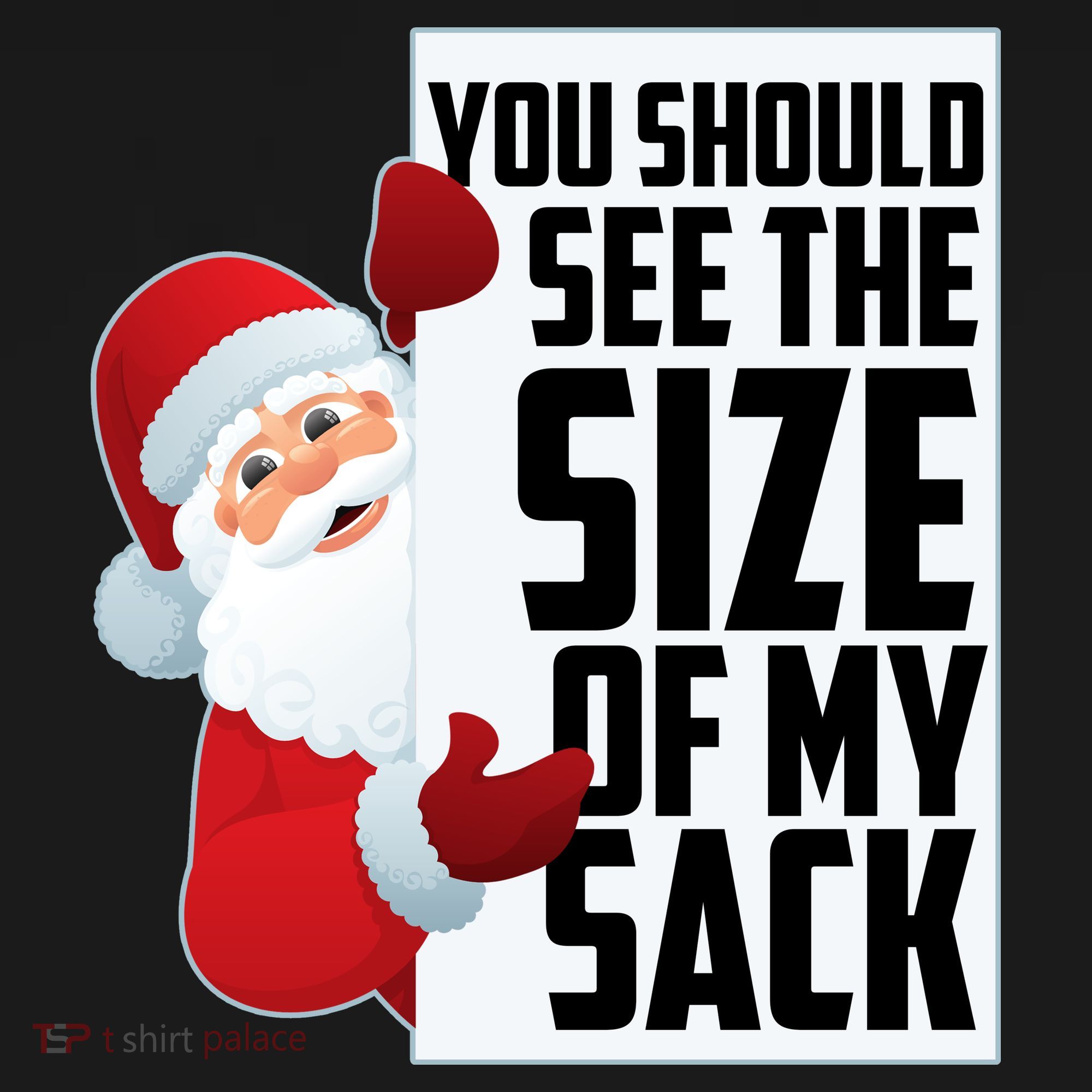 You Should See The Size Of My Sack Funny Santa Claus Women's Tank Top