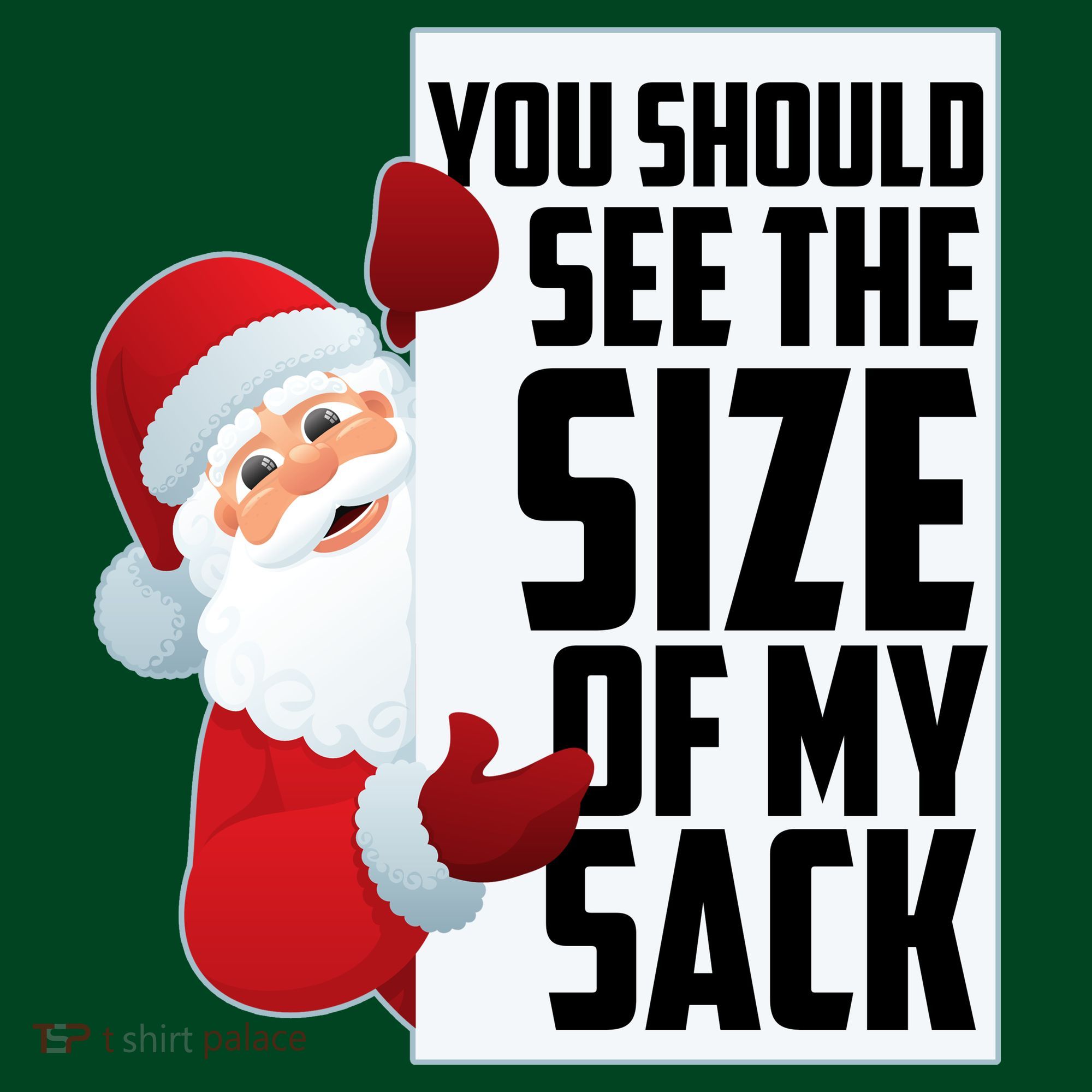 You Should See The Size Of My Sack Funny Santa Claus T-Shirt