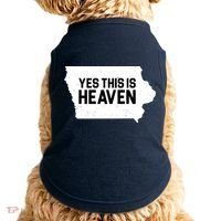 Yes This Is Heaven Iowa State Doggie Tank thumb 0
