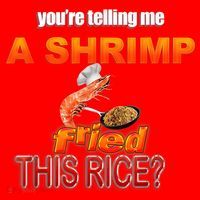 You’Re Telling Me A Shrimp Fried This Rice? Funny Dank Meme Santa Hat thumb 1