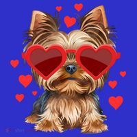 Yorkshire Terrier Valentines Day Yorkie Lover Gift T-Shirt thumb 7