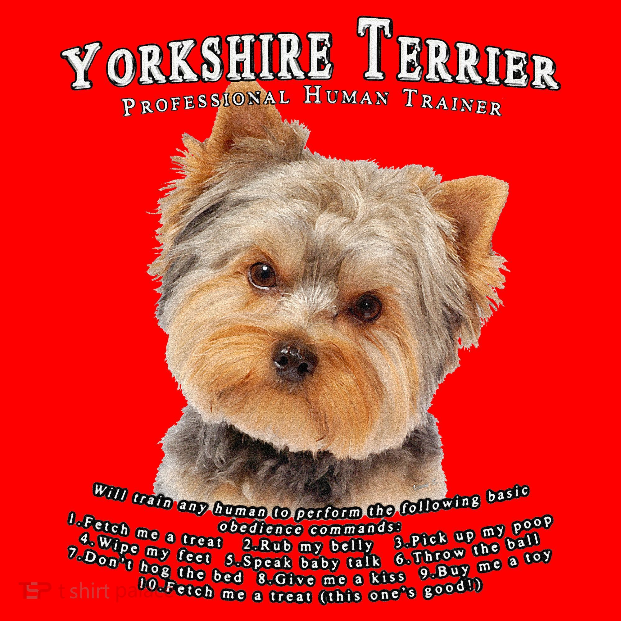 Yorkshire Terrier Yorkie Owner Lover Human Trainer Cute Dog Santa Hat