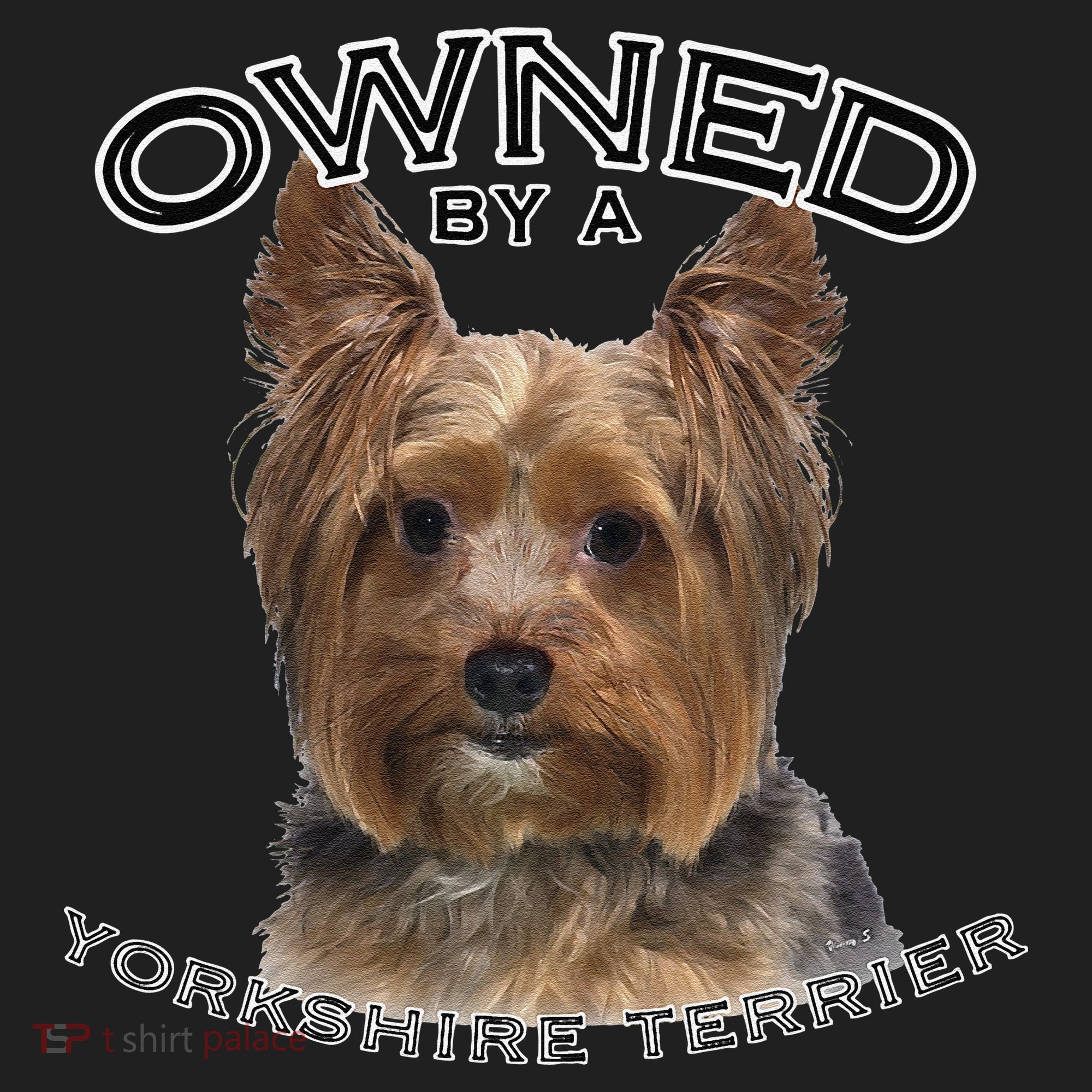 Yorkshire Terrier Yorkie Owner Lover Owned By Cute Dog Women's Sweatshirt