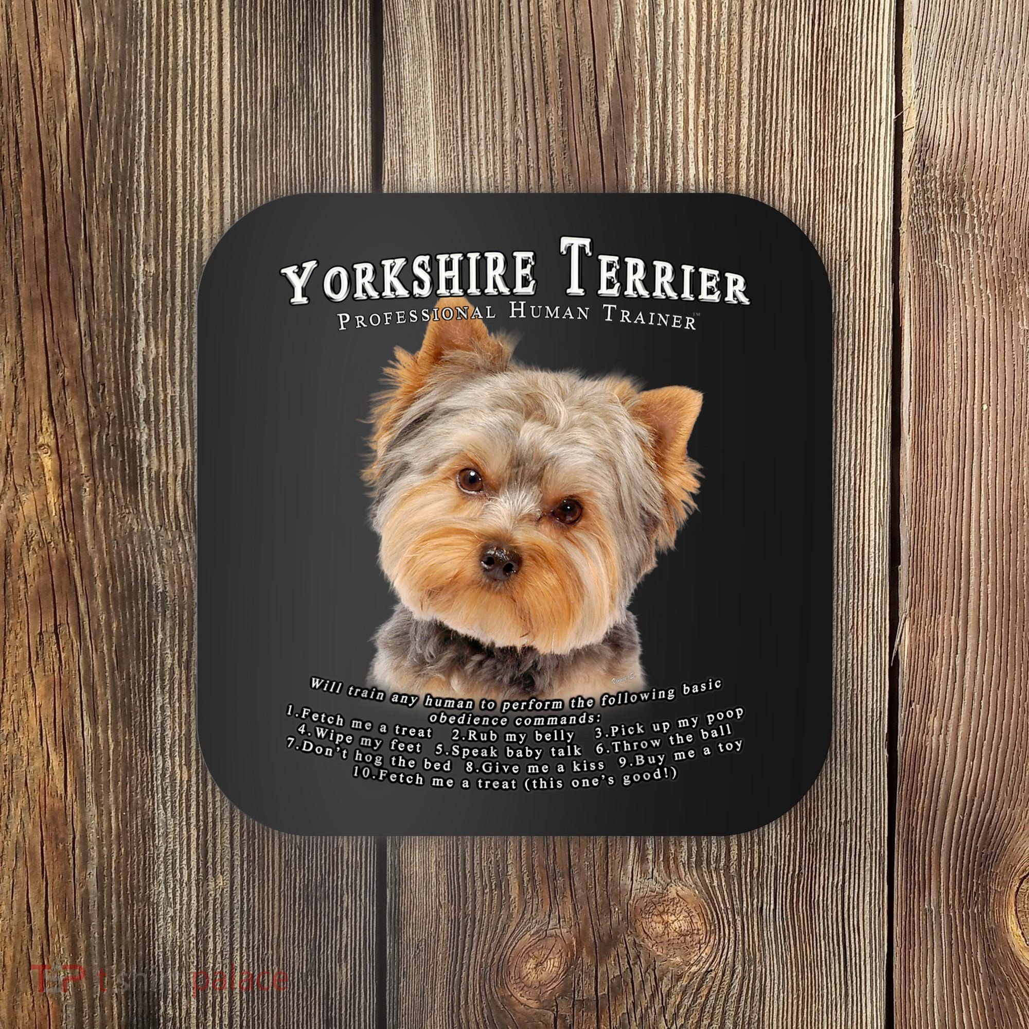 Yorkshire Terrier Yorkie Owner Lover Human Trainer Coaster