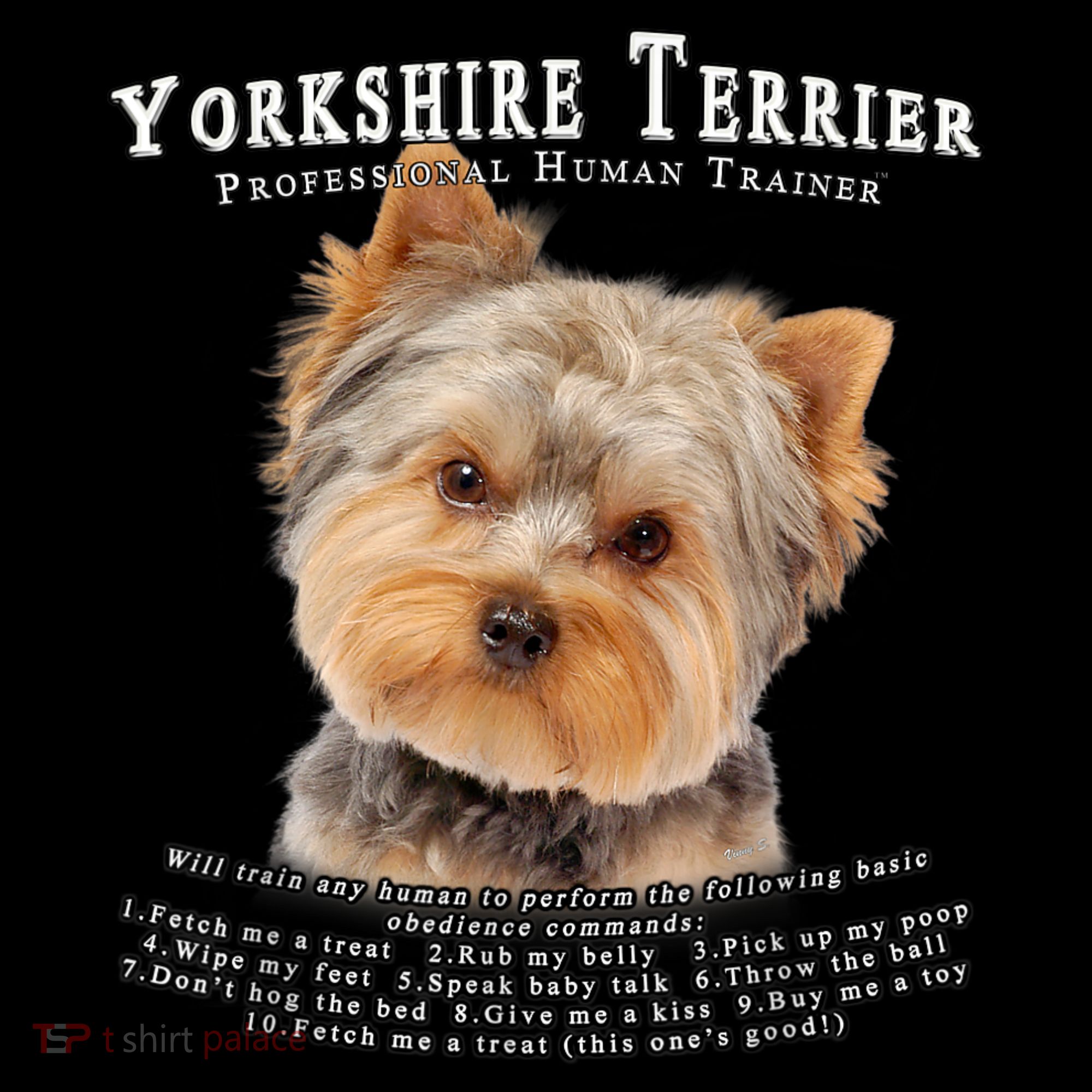 Yorkshire Terrier Yorkie Owner Lover Human Trainer Women's Hoodie